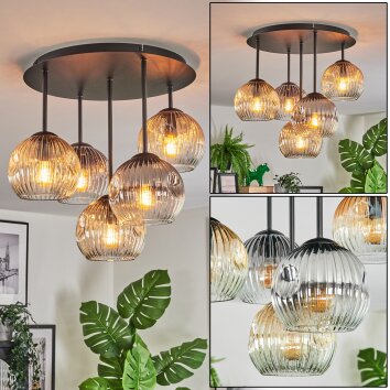 Ripoll Plafonnier, Boule lumineuse Ambre, Clair, Fumé, 5 lumières Ripoll Plafonnier, Boule lumineuse Ambre, Clair, Fumé, 5 lumières