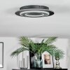 Lidor Plafonnier LED Noir, 1 lumière