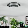 Lidor Plafonnier LED Noir, 1 lumière