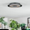 Lidor Plafonnier LED Noir, 1 lumière