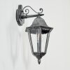 Lignac Lampe murale d´extérieur, Applique murale Noir, Argenté, 1 lumière
