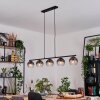 Koyoto Suspension, Boule lumineuse, Suspension Clair, Fumé, 5 lumières