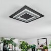 Lidor Plafonnier LED Noir, 1 lumière