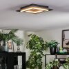 Lidor Plafonnier LED Noir, 1 lumière
