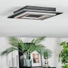 Lidor Plafonnier LED Noir, 1 lumière