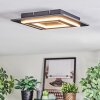 Lidor Plafonnier LED Noir, 1 lumière