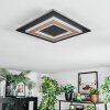 Lidor Plafonnier LED Noir, 1 lumière