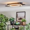 Lidor Plafonnier LED Noir, 1 lumière