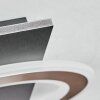 Lidor Plafonnier LED Noir, 1 lumière