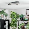 Lidor Plafonnier LED Noir, 1 lumière