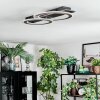 Lidor Plafonnier LED Noir, 1 lumière