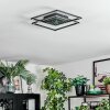 Manor Plafonnier LED Noir, 1 lumière, Télécommandes