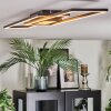 Manor Plafonnier LED Noir, 1 lumière, Télécommandes