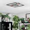 Hadel Plafonnier LED Couleur bois, Noir, 1 lumière