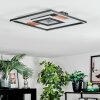 Hadel Plafonnier LED Couleur bois, Noir, 1 lumière
