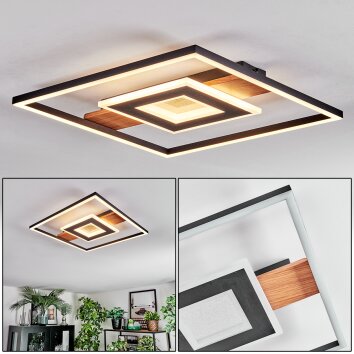 Hadel Plafonnier LED Couleur bois, Noir, 1 lumière