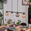Gastor Suspension, Boule lumineuse, Suspension Ambre, Clair, Fumé, 4 lumières Gastor Suspension, Boule lumineuse, Suspension Ambre, Clair, Fumé, 4 lumières
