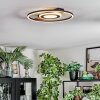 Hadel Plafonnier LED Couleur bois, Noir, 1 lumière