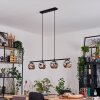 Ripoll Suspension, Boule lumineuse, Suspension Chrome, Fumé, 4 lumières