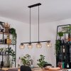 Ripoll Suspension, Boule lumineuse, Suspension Ambre, Clair, 4 lumières
