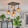 Gastor Plafonnier, Boule lumineuse Ambre, Clair, Fumé, 5 lumières