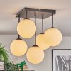 Gastor Plafonnier, Boule lumineuse Blanc, 5 lumières