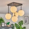 Gastor Plafonnier, Boule lumineuse Blanc, 5 lumières