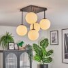 Gastor Plafonnier, Boule lumineuse Blanc, 5 lumières