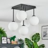 Gastor Plafonnier, Boule lumineuse Blanc, 5 lumières