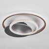 Lynor Plafonnier LED Anthracite, Noir, 1 lumière