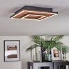 Meron Plafonnier LED Couleur bois, Noir, 1 lumière