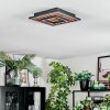 Meron Plafonnier LED Couleur bois, Noir, 1 lumière