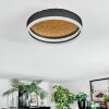 Guine Plafonnier LED Or, Noir, 1 lumière
