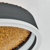 Guine Plafonnier LED Or, Noir, 1 lumière