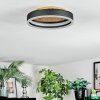 Guine Plafonnier LED Or, Noir, 1 lumière