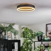 Guine Plafonnier LED Or, Noir, 1 lumière