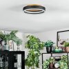 Guine Plafonnier LED Or, Noir, 1 lumière
