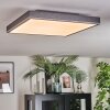Salmi Plafonnier, Panel LED Gris, Argenté, 1 lumière, Télécommandes