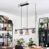Ripoll Suspension, Boule lumineuse, Suspension Ambre, Fumé, 4 lumières