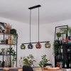 Ripoll Suspension, Boule lumineuse, Suspension Bleu, Vert, Cuivré, 4 lumières