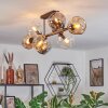 Ripoll Plafonnier, Boule lumineuse Ambre, Clair, Fumé, 8 lumières