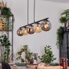 Gastor Suspension, Boule lumineuse, Suspension Ambre, Fumé, 5 lumières