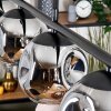 Ripoll Suspension, Boule lumineuse, Suspension Fumé, 4 lumières