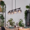 Ripoll Suspension, Boule lumineuse, Suspension Clair, Fumé, 4 lumières