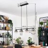 Ripoll Suspension, Boule lumineuse, Suspension Clair, Fumé, 4 lumières