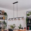 Gastor Suspension, Boule lumineuse, Suspension Chrome, Clair, Fumé, 5 lumières