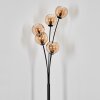 Koyoto Boule lumineuse, Lampadaire Ambre, 5 lumières