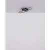 Sapena Plafonnier Luminaires Globo Lighting LED Gris, Noir, 1 lumière