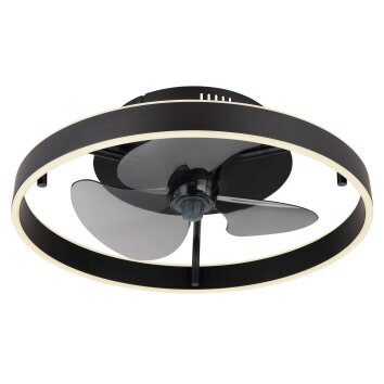 Conway Ventilateur de plafond lumineux Luminaires Globo Lighting LED Noir, 1 lumière, Télécommandes