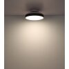 Carney Ventilateur de plafond lumineux Luminaires Globo Lighting LED Blanc, 1 lumière, Télécommandes